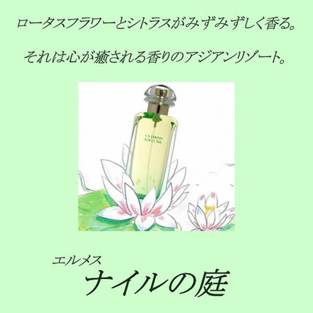 Hermes(エルメス)のエルメス HERMES ナイルの庭 EDT・SP 30ml 香水 フレグランス コスメ/美容の香水(ユニセックス)の商品写真