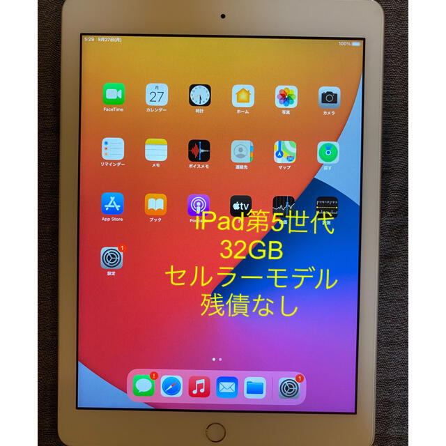 iPad (第 5 世代) 32GB セルラー docomo SIMロック解除済 やすい