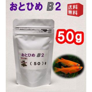 めだか の 餌 エサ◇おとひめ B２ ５０ｇ◇メダカ の えさ◇喰い付き抜群①(アクアリウム)