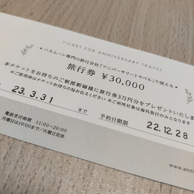 旅行券 アニバーサリー トラベル 30,000円分