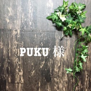 PUKUさん(その他)