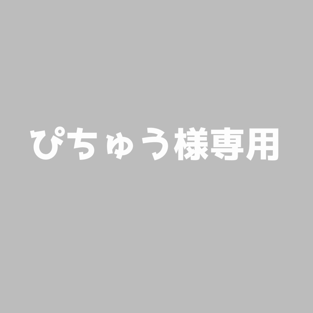 ぴちゅう様専用　 ハンドメイドの素材/材料(各種パーツ)の商品写真