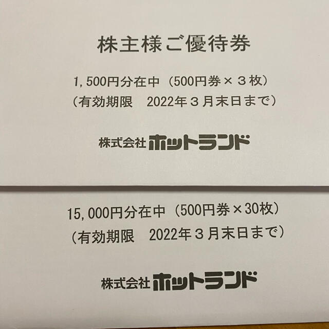 チケットホットランド　株主優待　16,500円分