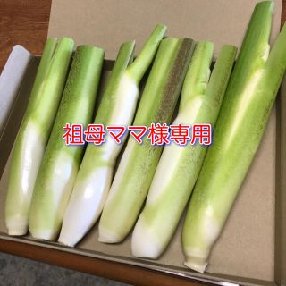 祖母ママ様専用　マコモダケ　600g以上(野菜)