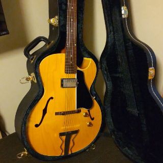 Archtop Tribute AT101【専用ハードケース付属】(エレキギター)