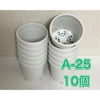 《A-25》10個 白 2.5号 丸型 スリット鉢 プラ鉢 多肉植物 生産者(プランター)