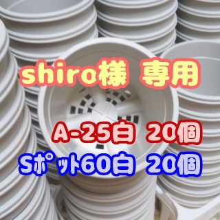 プラ鉢2.5号鉢【A-25】20個 他 スリット鉢 丸 プレステラ 多肉植物(プランター)