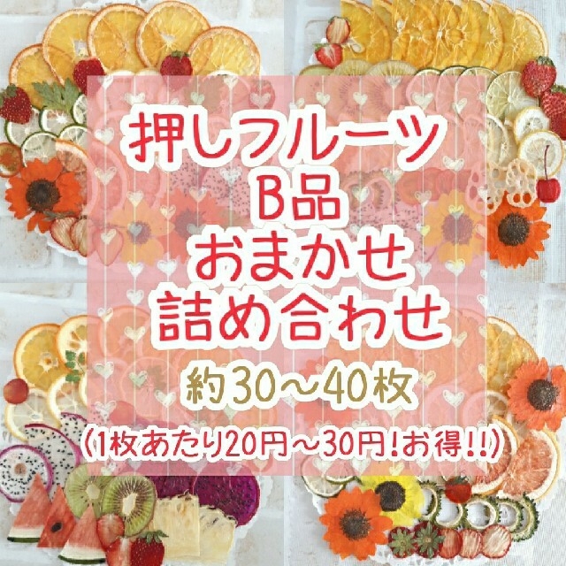 みん様専用ページ  押しフルーツ B品おまかせ詰め合わせ ハンドメイドの素材/材料(各種パーツ)の商品写真