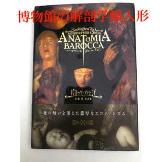 バロック・アナトミア フィレンツェ“ラ・スペコラ”博物館の解剖学蝋人形(写真)