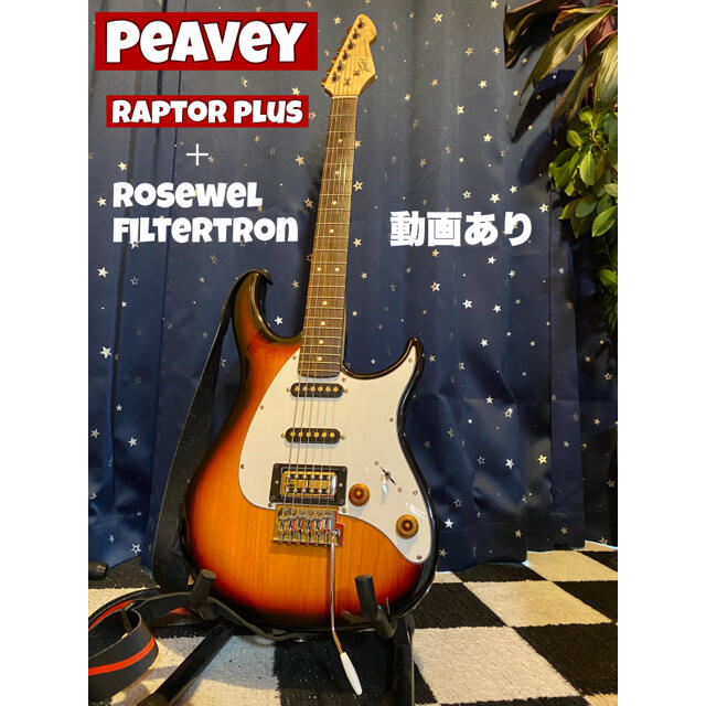 Peavey Raptor Plus ＋ Filtertron楽器