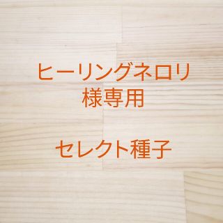 ヒーリングネロリ様専用　セレクト種子　2袋(野菜)