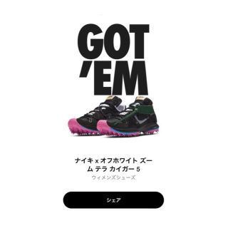 ナイキ(NIKE)の29㎝  28.5cm NIKE off-white  オフホワイト 国内正規品(スニーカー)