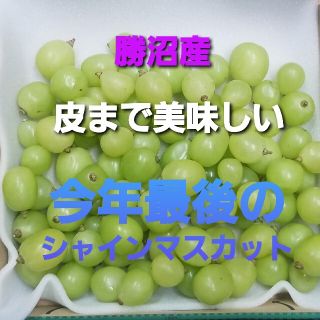 [予約受付け]今年最後の山梨県産　種無しシャインマスカット　粒1㎏(フルーツ)