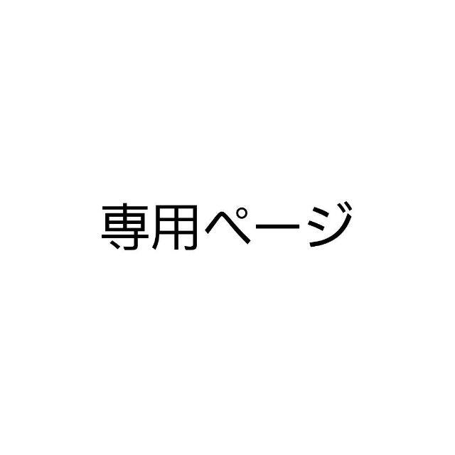 未來　様専用ページ その他のその他(その他)の商品写真