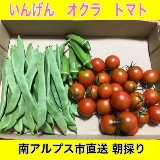 農家直送☆いんげん・オクラ・トマトセット 箱込み835g ネコポス(野菜)