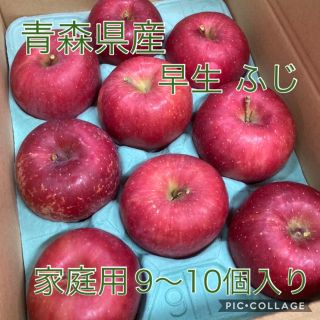 青森県産りんご（早生ふじ）9〜10個入り　家庭用訳あり　産地直送(フルーツ)