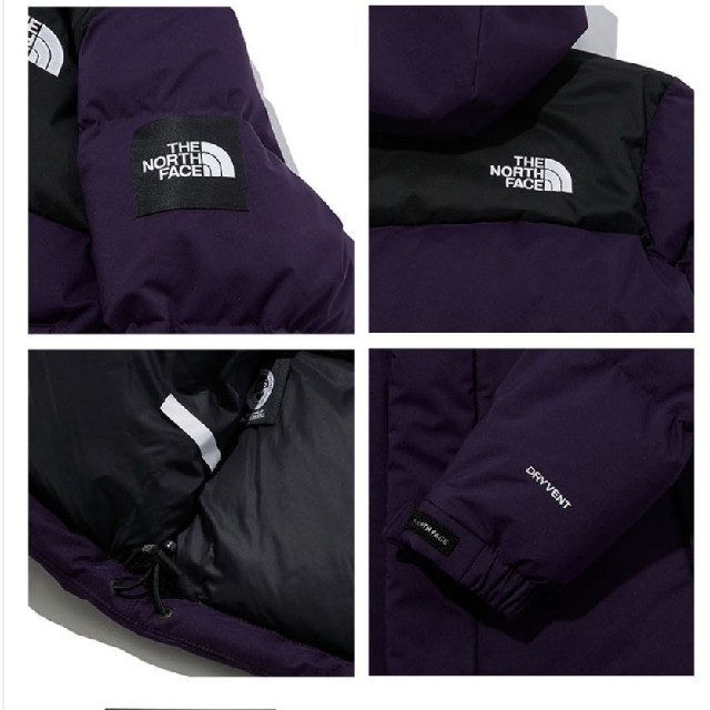 THE NORTH    FACE ACT MOTION DOWN JACKET