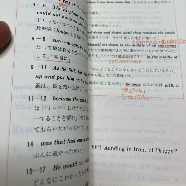 エンタメ/ホビー家出のドリッピー12セット　コインの冒険1セット