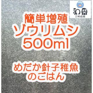 ゾウリムシ種水500ml★めだかグッピーベタ金魚稚魚クロレラPSB和香商品(アクアリウム)