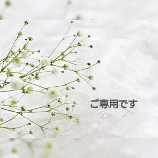 kao様ご専用【天然石ピアス】宝石質トルマリン(マルチカラー/ウォーターメロン)(ピアス)