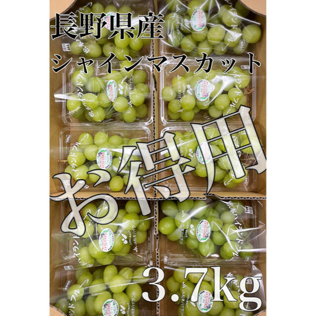 お得用！！長野県産【シャインマスカット】秀品　10パック　約3.7kg！