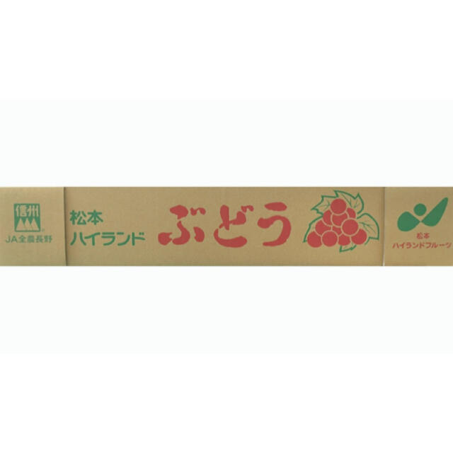 お得用！！長野県産【シャインマスカット】秀品　10パック　約3.7kg！ 食品/飲料/酒の食品(フルーツ)の商品写真