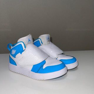 ナイキ(NIKE)のNIKE SKY JORDAN 1  スニーカー　(スニーカー)