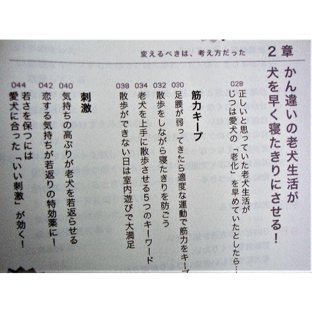 「老犬生活　完全ガイド」7歳からも元気に暮らすコツがわかる！ エンタメ/ホビーの本(趣味/スポーツ/実用)の商品写真