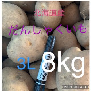 北海道産男爵　3L 8kg(野菜)