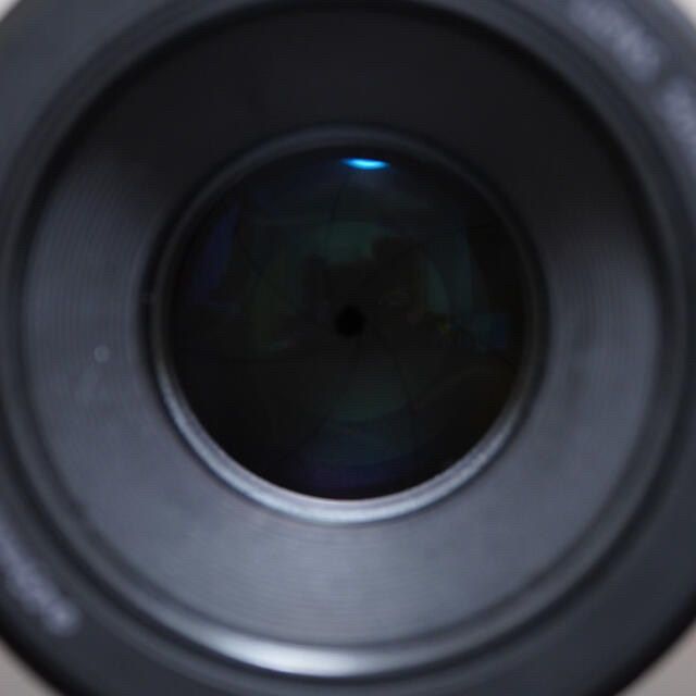 SIGMA(シグマ)のsigma MC-11 canon EF 50mm f1.8 STM セット スマホ/家電/カメラのカメラ(レンズ(単焦点))の商品写真
