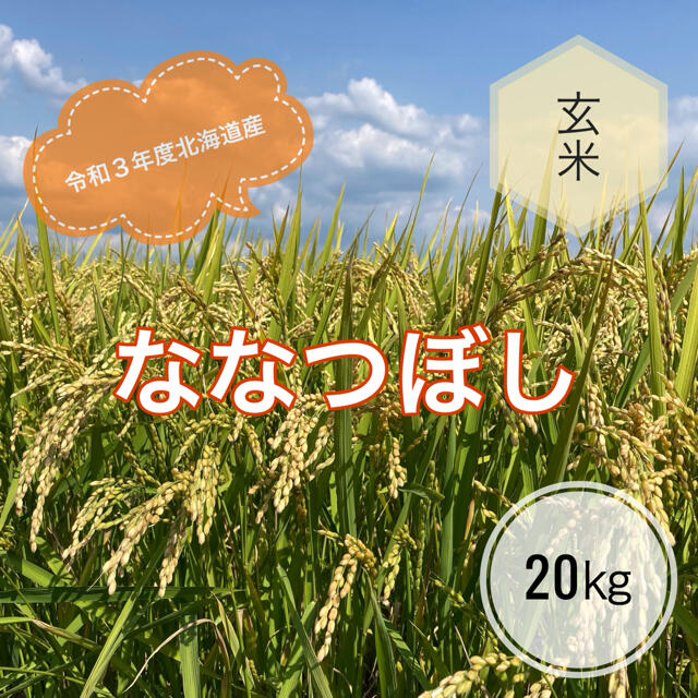 ななつぼし玄米20㎏　令和3年度北海道産　米/穀物