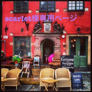 scarlet様専用ページ(ネックレス)