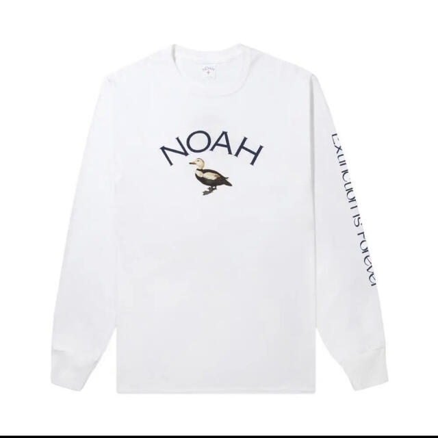 noah×feminist bird club 完売品　レア