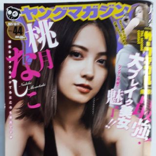 ヤングマガジンNo.44(漫画雑誌)