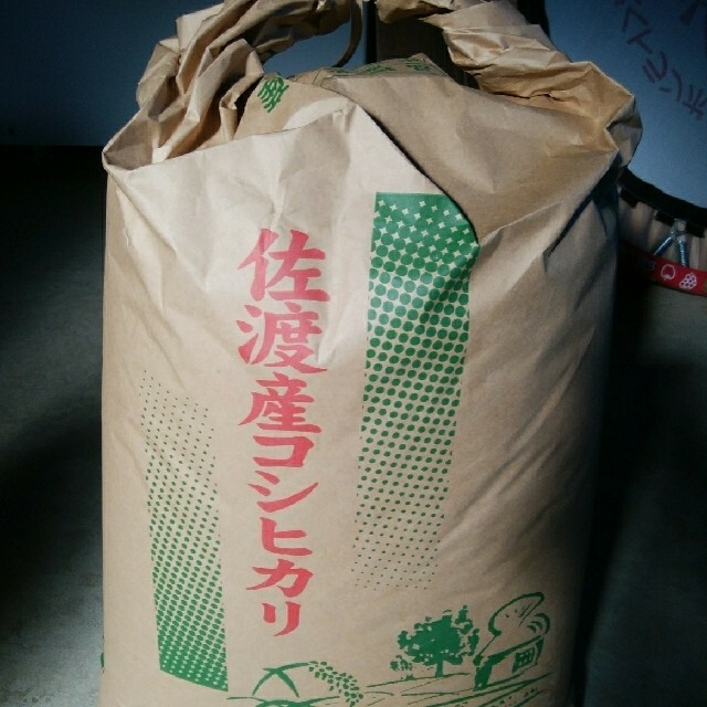 新潟県佐渡産コシヒカリ玄米30kg　米/穀物