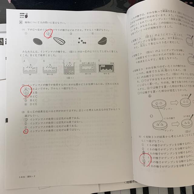 全国統一小学生テスト　５年生 エンタメ/ホビーの本(語学/参考書)の商品写真