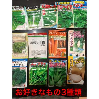 野菜の種　3種セット(野菜)