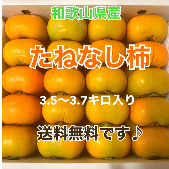 M7 和歌山県産　たねなし柿　ご家庭用 食品/飲料/酒の食品(フルーツ)の商品写真