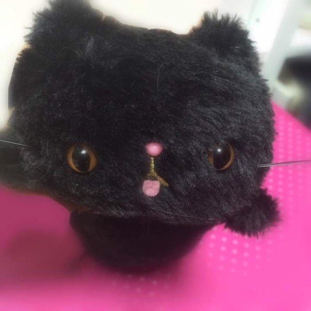 SWIMMER(スイマー)のswimmer❤︎黒猫 ペンケース レディースのファッション小物(ポーチ)の商品写真