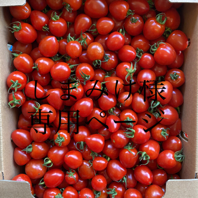 しまみけ様専用ページ 同梱ページ 食品/飲料/酒の食品(野菜)の商品写真