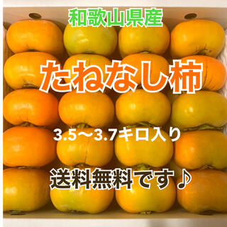 M10 和歌山県産　たねなし柿♪ ご家庭用　20個入り(フルーツ)