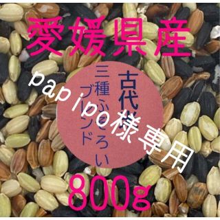 papipo様専用　古代米3種ふぞろいブレンド　愛媛県産　800ｇ(米/穀物)