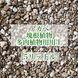 多肉植物 アガベ用用土 5リットル(その他)