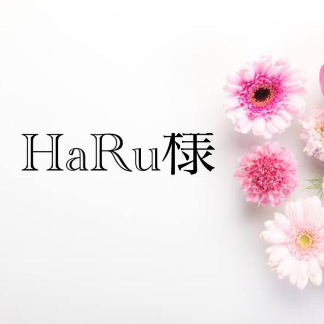 定価 HARU様専用 asakusa.sub.jp