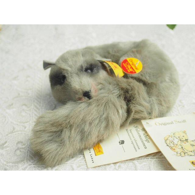 シュタイフ★Ringed Edible Dormouse ID完品★丸まりヤマネ