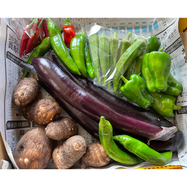 季節のお野菜詰め合わせ 無農薬 コンパクトボックス 食品/飲料/酒の食品(野菜)の商品写真