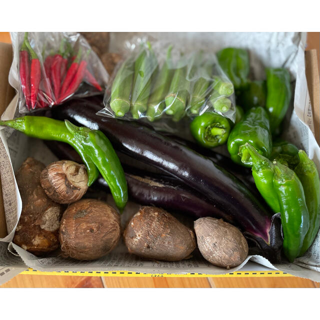 季節のお野菜詰め合わせ 無農薬 コンパクトボックス 食品/飲料/酒の食品(野菜)の商品写真