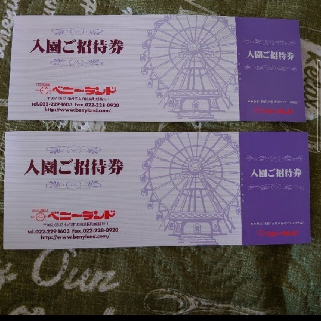 仙台 八木山ベニーランド 入園ご招待券 2枚組の通販 by しーちゃん's