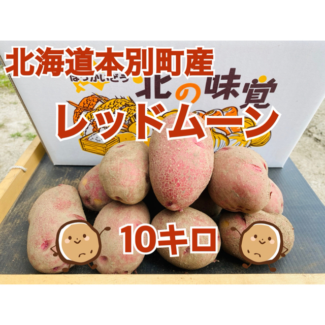 北海道本別町産 じゃがいも 【レッドムーン】10キロ 食品/飲料/酒の食品(野菜)の商品写真