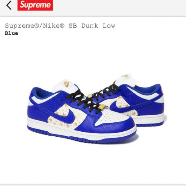 Supreme(シュプリーム)のsupreme NIKE SB DUNK LOW blue メンズの靴/シューズ(スニーカー)の商品写真